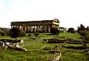 paestum_poseidon_05.jpg