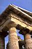 paestum_poseidon_09.jpg