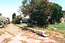 paestum_via_sacra_02.jpg